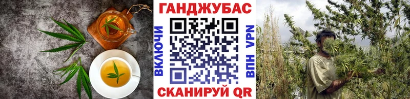 где купить наркоту  Торопец  Cannafood конопля 