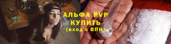 твердый Абаза