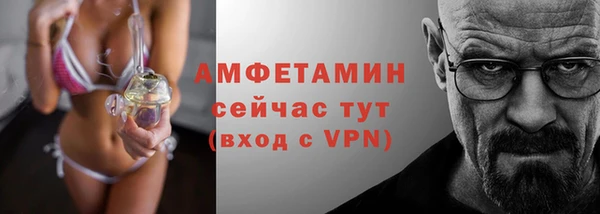 твердый Абаза