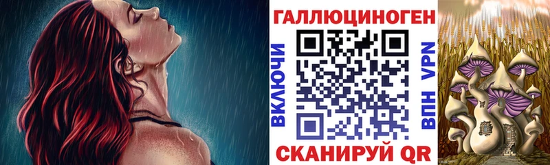 Галлюциногенные грибы Cubensis кракен как зайти Торопец